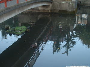Photo_6