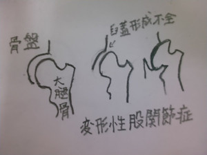 Kimg0217_2